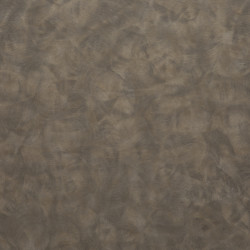 Image de détail du décor Etain Patiné (2927 PLUS)