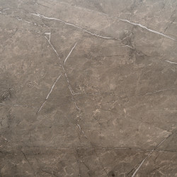 Image de détail du décor Kaspio Argento (6090 SH)