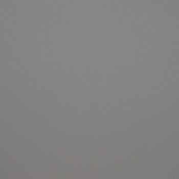 Image de détail du décor Gris Galet (3031 PLUS)