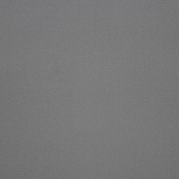 Image de détail du décor Lin Gris Perle (4505 TI)