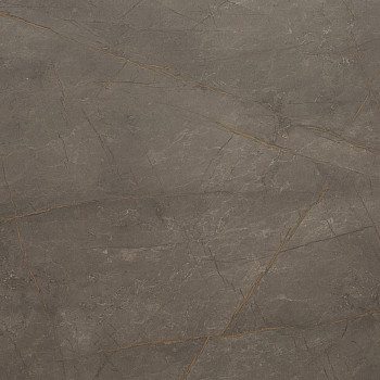 Image de détail du décor Filon d'Or (8082 SH)